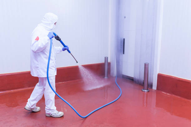 Best Patio and Deck Pressure Washing  in Hummelstown, PA